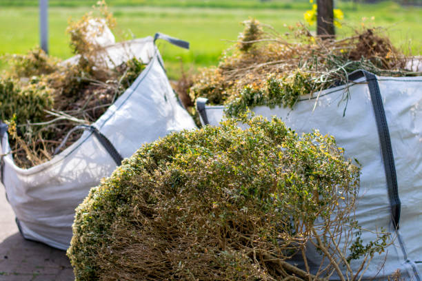 Best Appliance Removal Near Me  in Rosend, LA